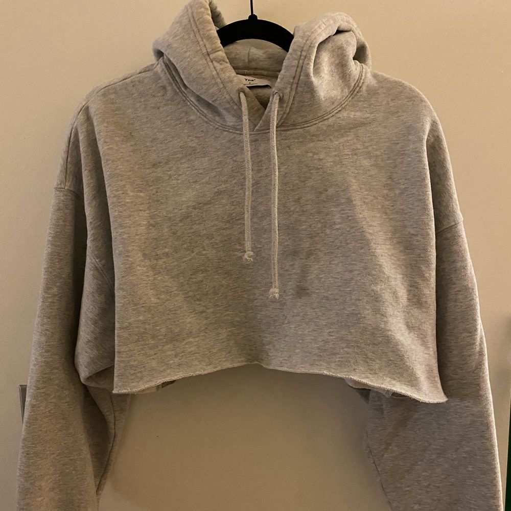 Aritzia TNA cropped grey sweatshirt